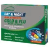 B&M Galpharm Day & Night 16pk Cold & Flu Relief Capsules -Care Products Shop 355210 galpharm day night cold flu relief 16 capsules