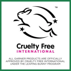 Garnier SkinActive Vitamin C Sheet Mask -Care Products Shop 394724 garnier skinactive sheet mask vitamin c 2